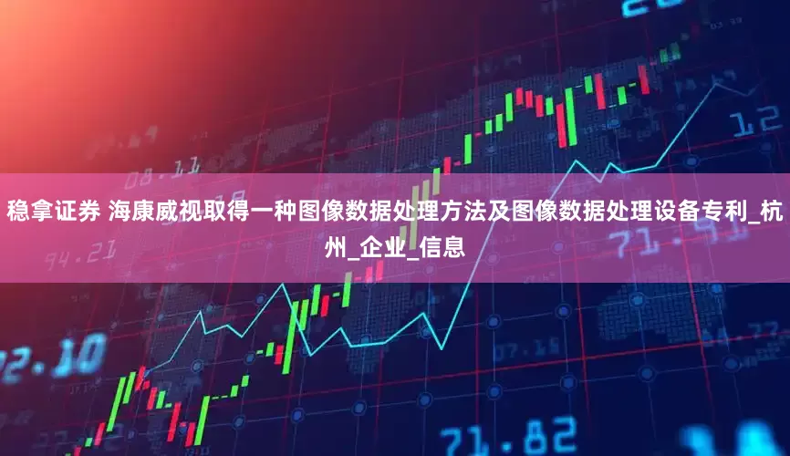 稳拿证券 海康威视取得一种图像数据处理方法及图像数据处理设备专利_杭州_企业_信息