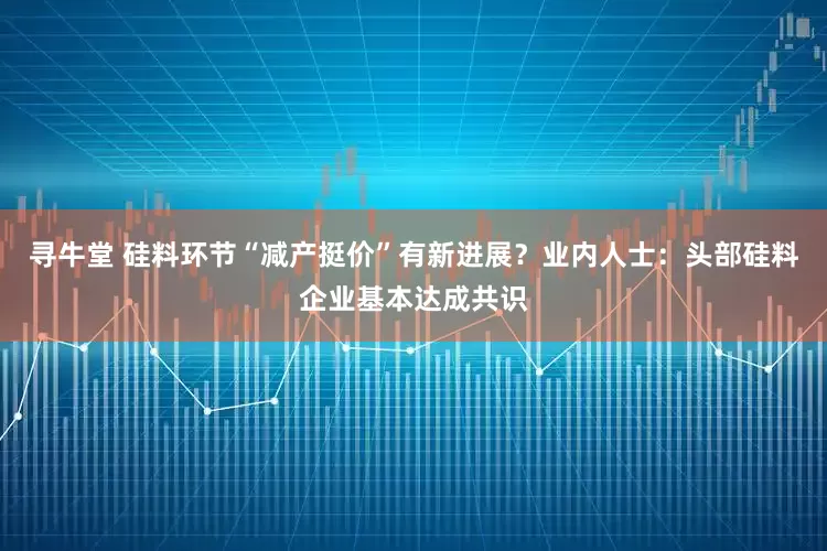 寻牛堂 硅料环节“减产挺价”有新进展？业内人士：头部硅料企业基本达成共识
